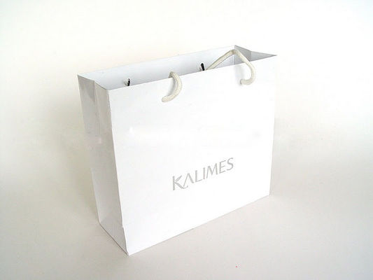 ISO Machinery Plain Recycling White Paper Carrier Bags for Shopping